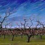 Bush Vines Fruili
