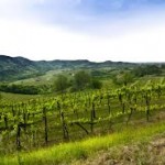 Fruili Hills